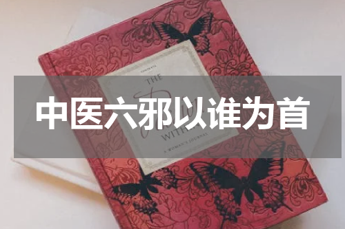 中医六邪以谁为首