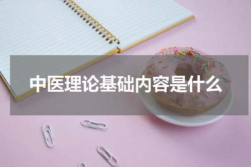 中医理论基础内容是什么