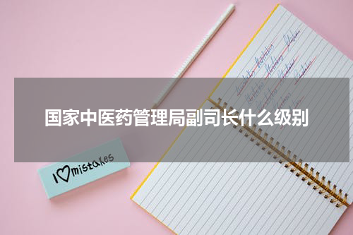 国家中医药管理局副司长什么级别