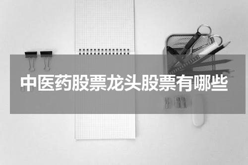 中医药股票龙头股票有哪些