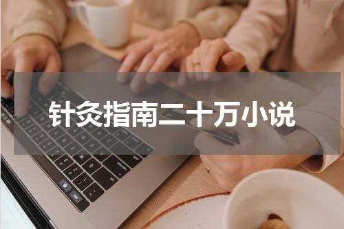 针灸指南二十万小说