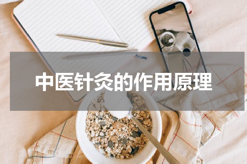 中医针灸的作用原理