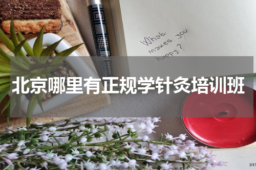 北京哪里有正规学针灸培训班