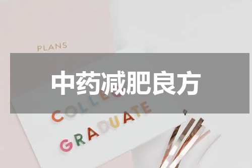 中药减肥良方