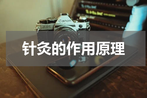 针灸的作用原理