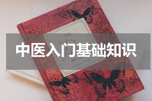 中医入门基础知识