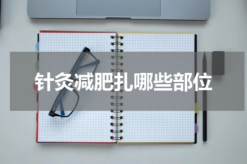 针灸减肥扎哪些部位