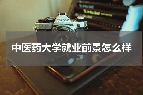 中医药大学就业前景怎么样