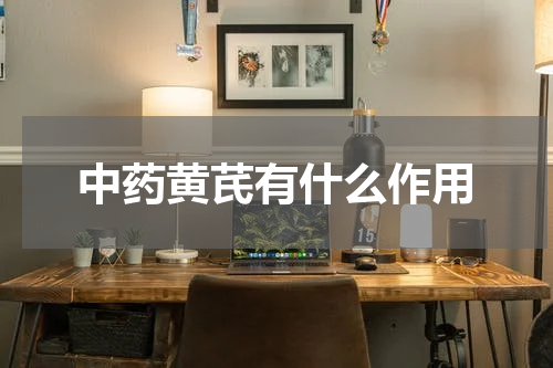 中药黄芪有什么作用