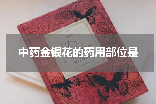 中药金银花的药用部位是