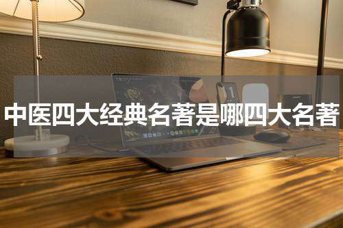 中医四大经典名著是哪四大名著