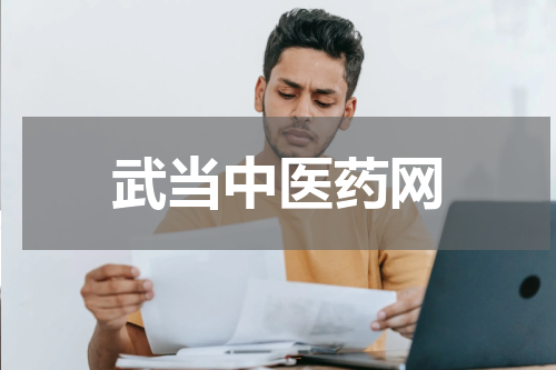 武当中医药网