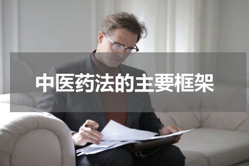中医药法的主要框架