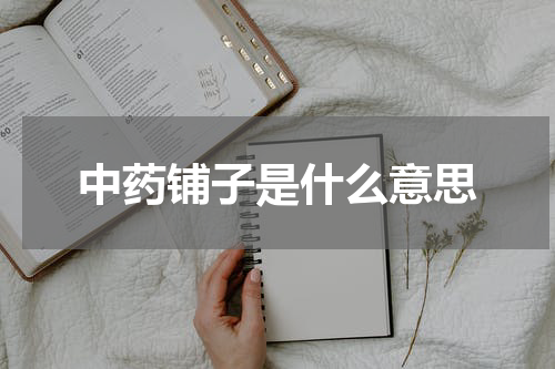 中药铺子是什么意思