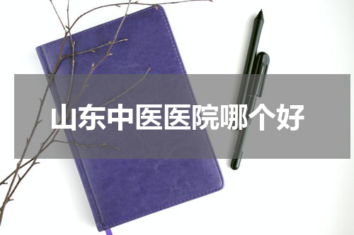 山东中医医院哪个好