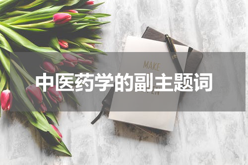 中医药学的副主题词