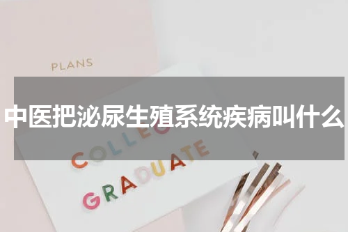 中医把泌尿生殖系统疾病叫什么