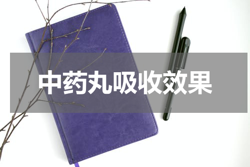 中药丸吸收效果
