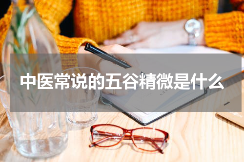 中医常说的五谷精微是什么