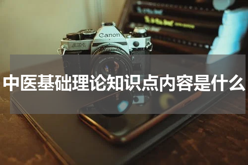 中医基础理论知识点内容是什么