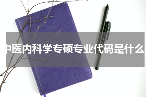 中医内科学专硕专业代码是什么