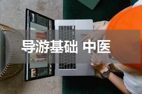 导游基础 中医