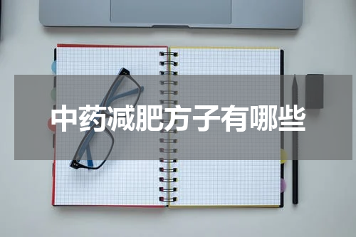 中药减肥方子有哪些