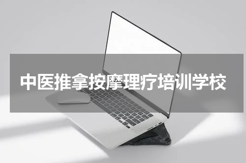 中医推拿按摩理疗培训学校