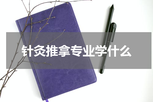针灸推拿专业学什么