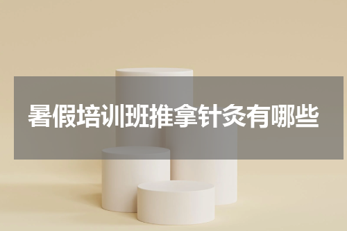 暑假培训班推拿针灸有哪些
