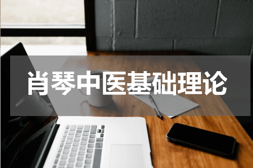 肖琴中医基础理论