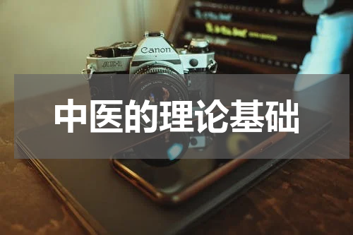 中医的理论基础