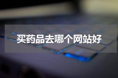 买药品去哪个网站好