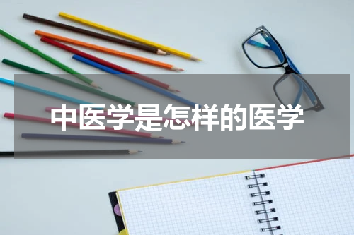 中医学是怎样的医学
