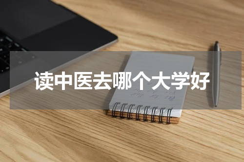 读中医去哪个大学好