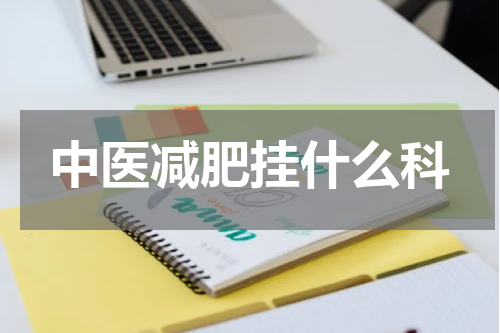 中医减肥挂什么科