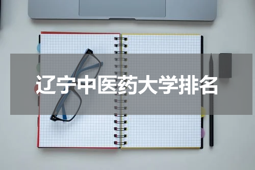 辽宁中医药大学排名