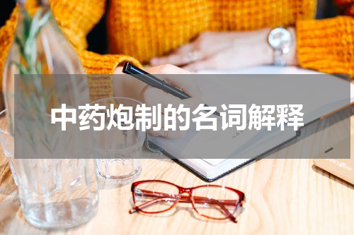 中药炮制的名词解释