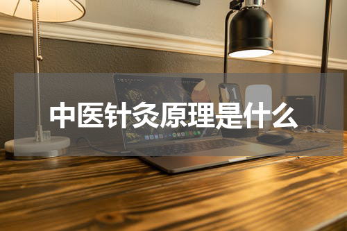 中医针灸原理是什么