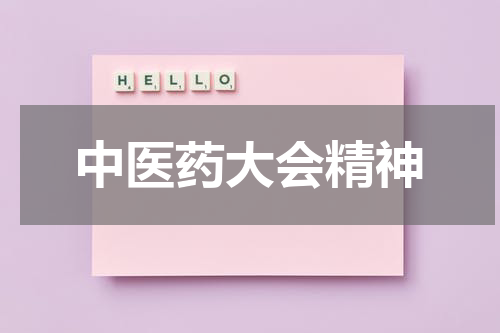 中医药大会精神