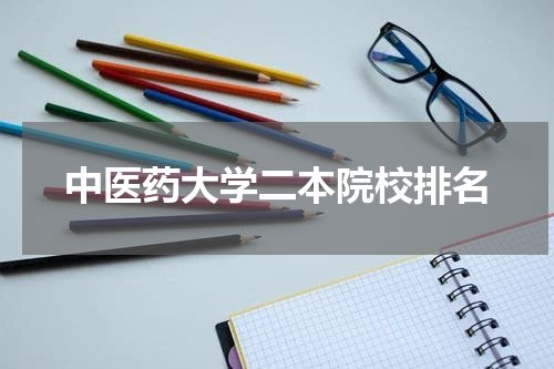 中医药大学二本院校排名