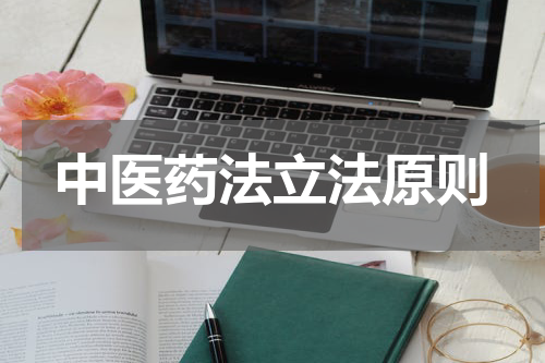 中医药法立法原则