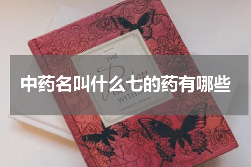 中药名叫什么七的药有哪些