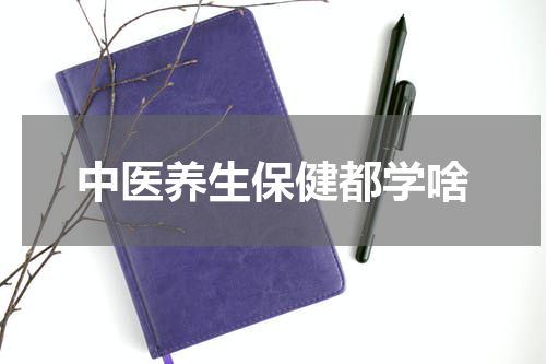 中医养生保健都学啥
