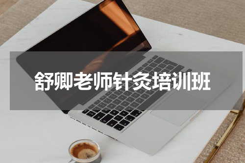舒卿老师针灸培训班