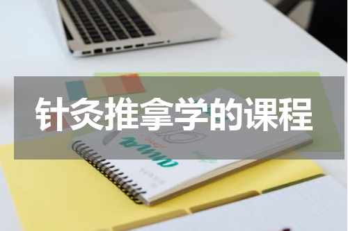针灸推拿学的课程