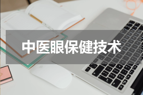 中医眼保健技术