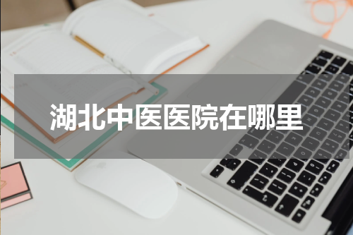 湖北中医医院在哪里