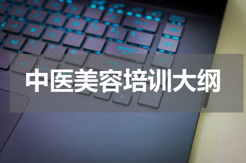 中医美容培训大纲