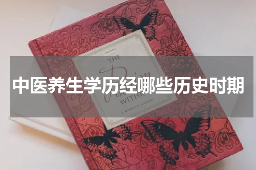 中医养生学历经哪些历史时期